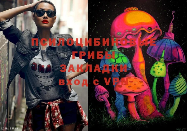 дживик Бугульма