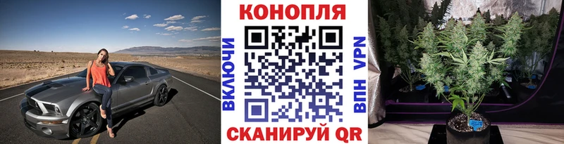 сколько стоит Поворино даркнет формула Шишки марихуана AK-47